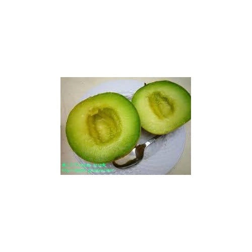Organic Rocky Ford Green Flesh Melon Seeds for Planting [neera-v5-0bd70b3159cc9bd93546]
