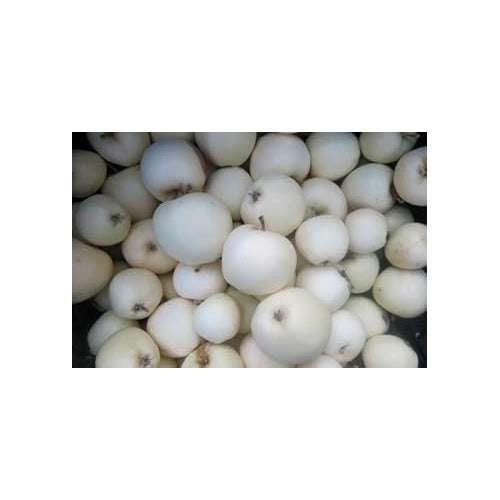 White Apple Fruit Seeds [neera-v5-0cbc6f7993a5ce42b562]