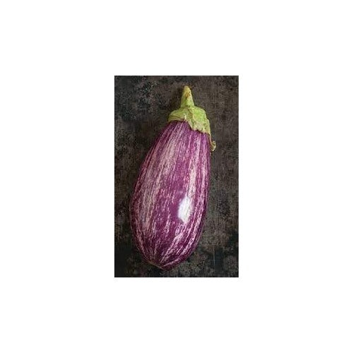 Eggplant Vegetable Seeds for Planting | Heirloom, Non-GMO, High Germination Organic Garden Seeds [neera-v5-0e1d8eb1c683a0cd8f60]