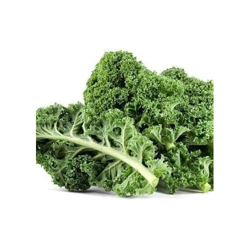 Heirloom Non-GMO Siberian Kale Vegetable Seeds for Planting [neera-v5-0eacbaec03d20ee4532d]