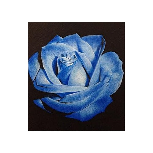 Light Blue Osiria Rose Plant Seeds for Planting [neera-v5-0ef4c1be192ba0ae7cdc]