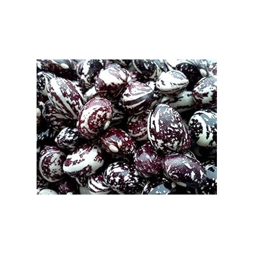 Green Stallard Bean Vegetable Seeds for Planting [neera-v5-0f11ae50334102685b19]