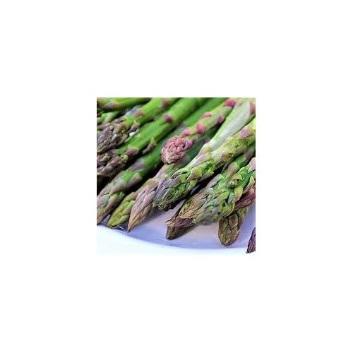 Asparagus Mary Washington Seeds [neera-v5-0f27659bd2dbe9d1d2b7]