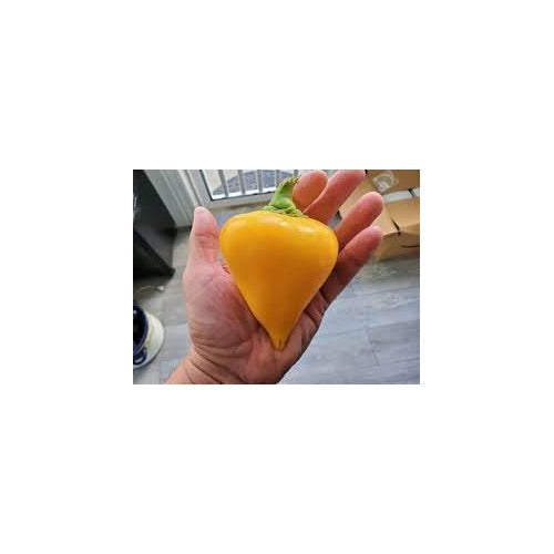 Pepper Seeds for Home Garden [neera-v5-0f64b96e6cfa77b63f89]