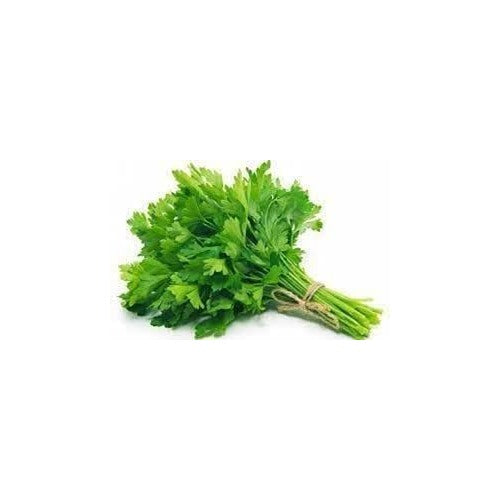 Coriander Leafy Seeds for Planting [neera-v5-0fec3f5cbd6e1ae9a5ec]