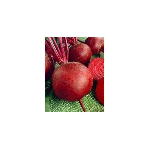 Beetroot Seeds [neera-v5-10ff83db25a6c9968c47]