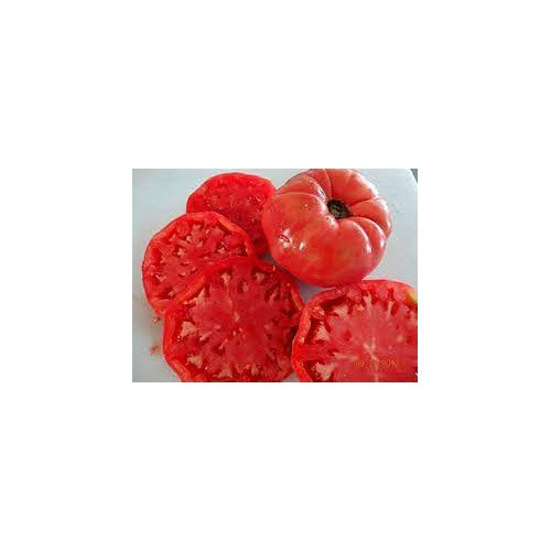 Box Car Willie Heirloom Tomato Seeds for Planting [neera-v5-1148cc0dddb95df7600c]