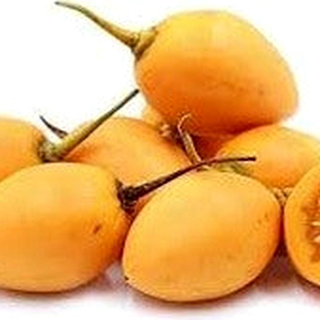 Yellow Tamarillo Fruit Seeds for Planting [neera-v5-11574a3ff0296cd1eecd]
