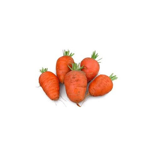 Oxheart Carrot Seeds for Planting [neera-v5-11a6d1f796d854d05694]