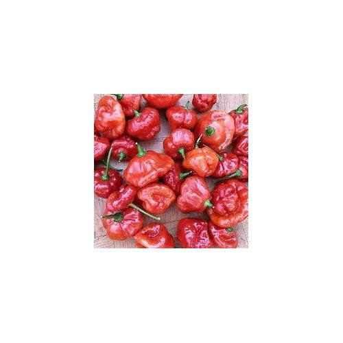 Aji Dulce Red Pepper Seeds for Planting [neera-v5-11e57ba473f5bb686dd1]