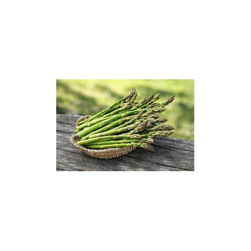 Mixed Asparagus Seeds for Planting [neera-v5-11f745082e5a5e47f589]