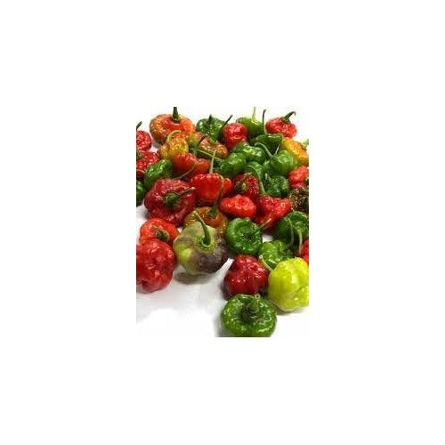Sweet Pepper Vegetable Seeds for Planting [neera-v5-125ae569a8ddb6fd12c5]