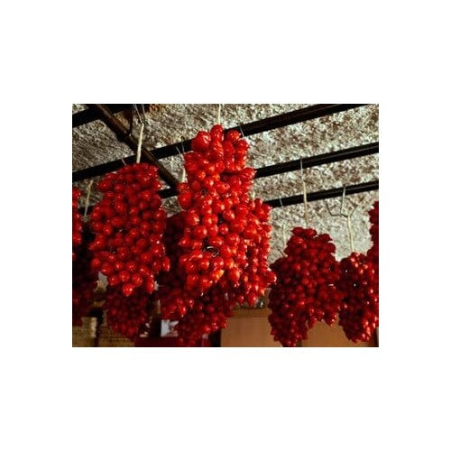 Piennolo Tomato Seeds for Planting [neera-v5-12974e030d586a15b220]