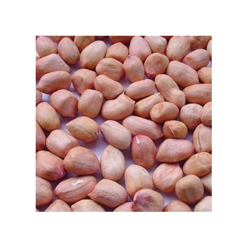 Peanut Seeds for Home Garden [neera-v5-12ac470b8b373fae61d6]
