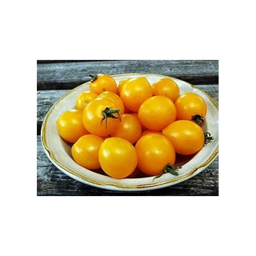 Heirloom Non-GMO Yellow Tomato Seeds for Planting [neera-v5-1351e882c0d2597a5ed4]