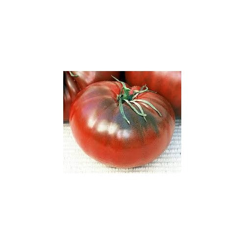 Cherokee Chocolate Tomato Seeds for Planting [neera-v5-1376a4867a3243db580a]