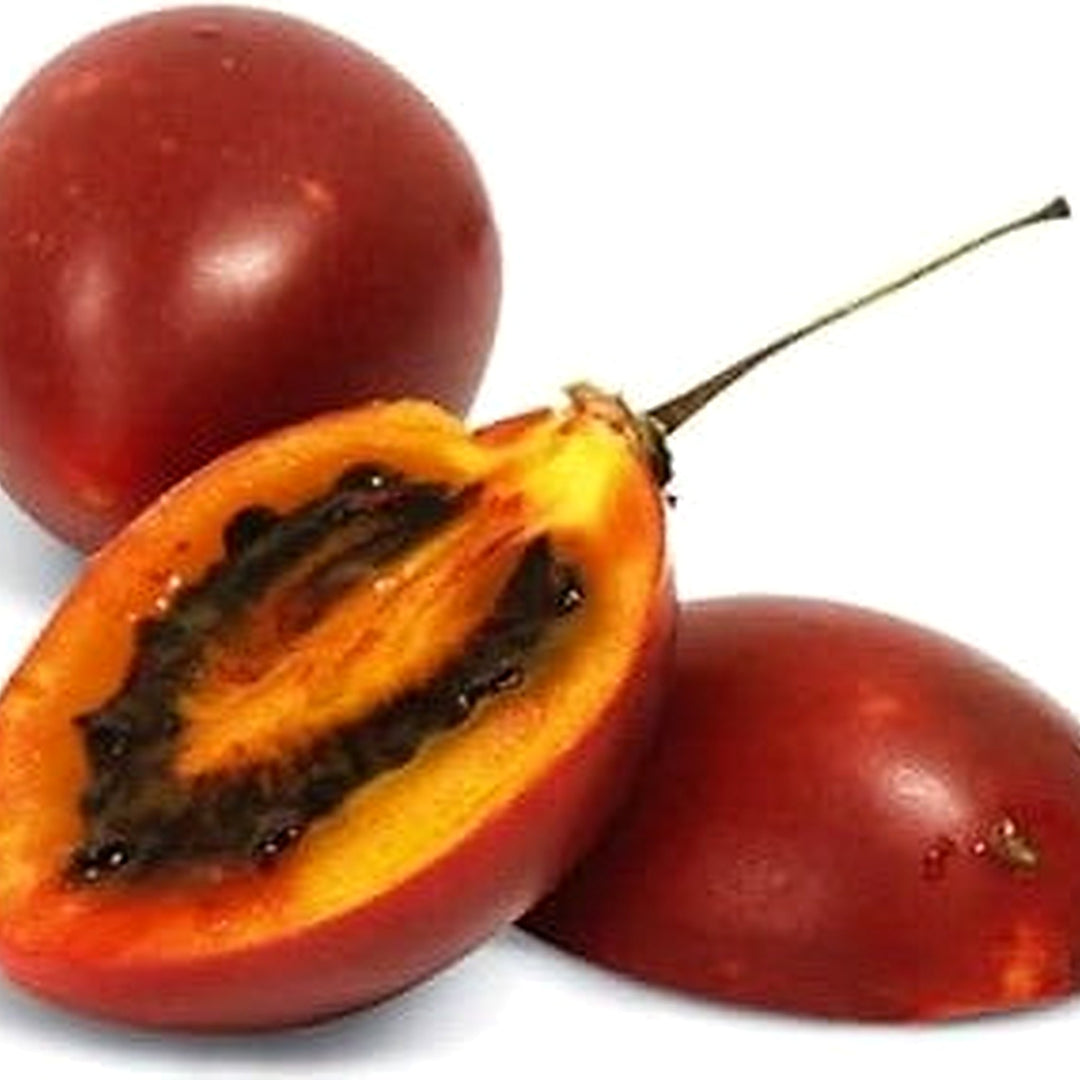 Tamarillo Vegetable Seeds for Planting [neera-v5-13f583e31da4a1e9ee62]