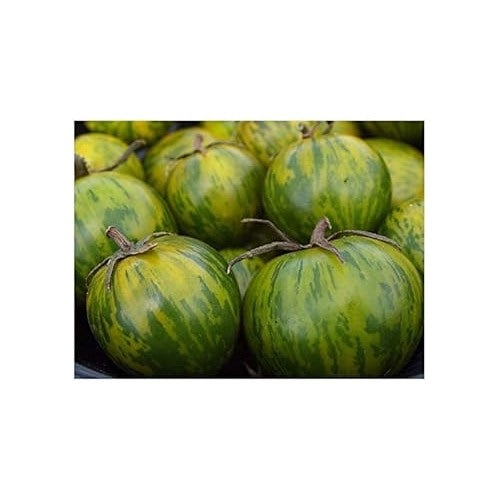 Tomato Seeds for Planting Green [neera-v5-146d461d9cf0628cb1b3]