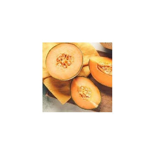 Melon Seeds [neera-v5-148c9e2b81fef55a56c6]