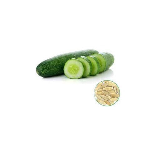 Indian PGH Cucumber Seeds for Planting [neera-v5-1493790090f93a4297f7]