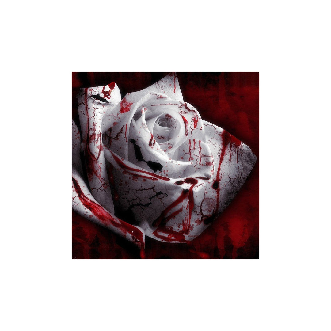 White Rose Rosa Hybrida Blood Flower For Planting In Home Garden Or Vertical Trellis Space Flower [neera-v5-14b0f7c0d67b5a57c8a4]