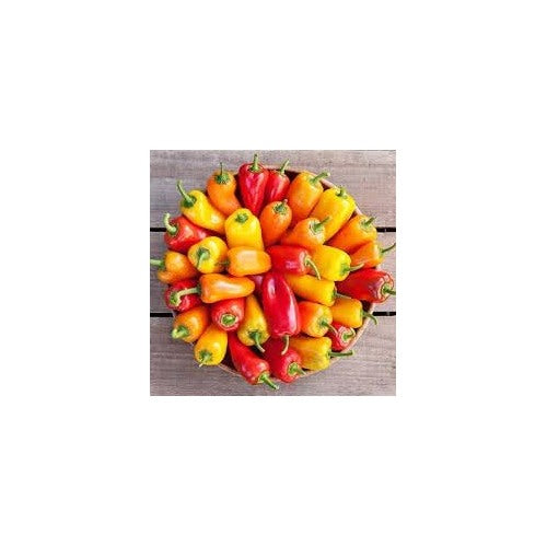 Sweet Pepper Vegetable Seeds for Planting [neera-v5-14cc851e5852371c4a2f]