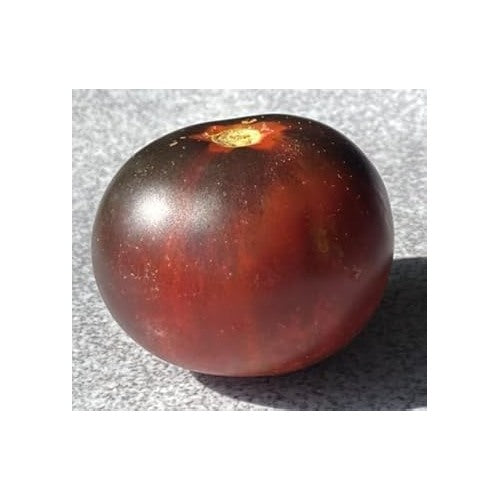 Maroon Tomato Seeds for Planting [neera-v5-14fa59665771e1af4206]