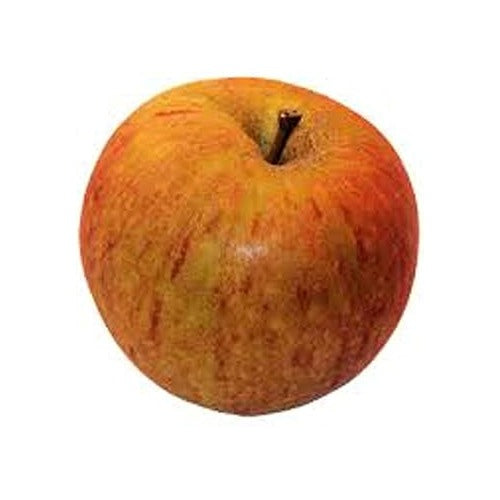 Orange Apple Fruit Seeds [neera-v5-150edfa37aa8d0aac257]
