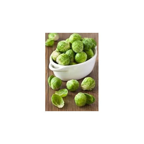 Brussels Sprouts Long Island Seeds [neera-v5-152f2ad3ec1d1abd6507]