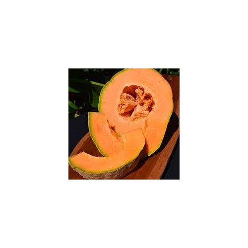 Ambrosia Cantaloupe Fruit Seeds for Planting [neera-v5-157eb02754cf01b13251]