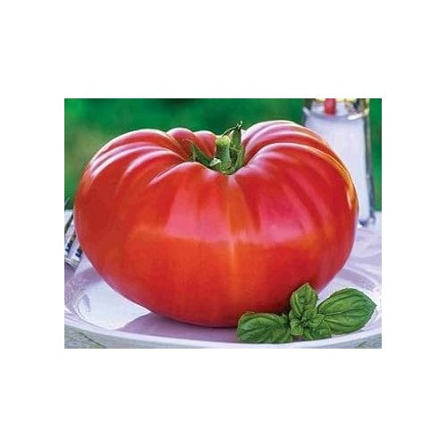 Red Tomato Seeds for Planting [neera-v5-15af4b78caf5c65b9a8a]
