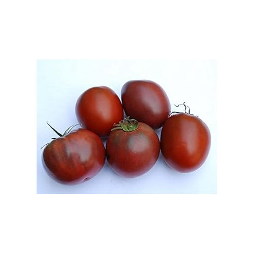 Maroon Tomato Seeds for Planting [neera-v5-16bf3a5aadfbca048036]