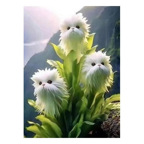 Cat's eye flower dazzle-long hair curly white flower Seeds for Planting | Heirloom Non-GMO High Germination Organic Garden Seeds [neera-v5-173cd08b50e80542b618]
