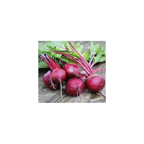 Dark Pink Beetroot Seeds for Planting [neera-v5-17a8e2387d78eb6acaf2]