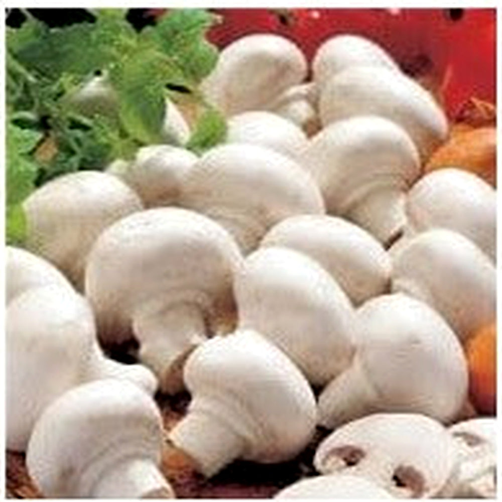 White Button Mushroom Seeds for Planting [neera-v5-182fe5f2392c84cec575]
