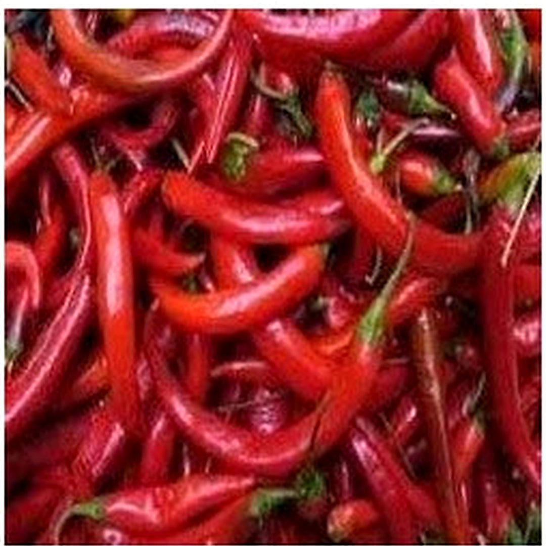 Maroon Chili Brazilian Seeds for Planting [neera-v5-184fbaef50ea7e27b68b]