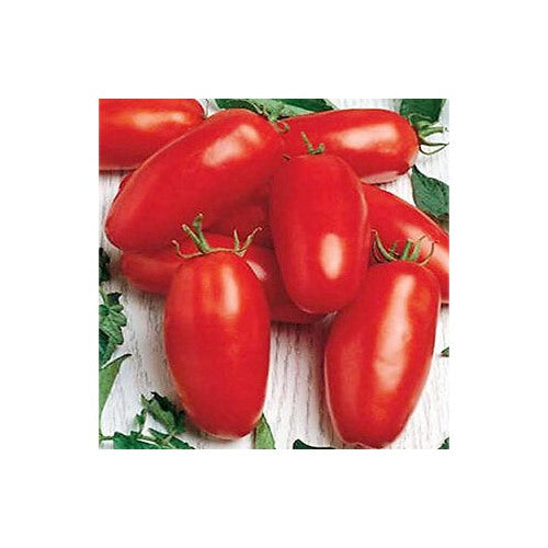 Red Banana Tomato Seeds for Planting [neera-v5-1a3f5120eecc4a2f52f4]
