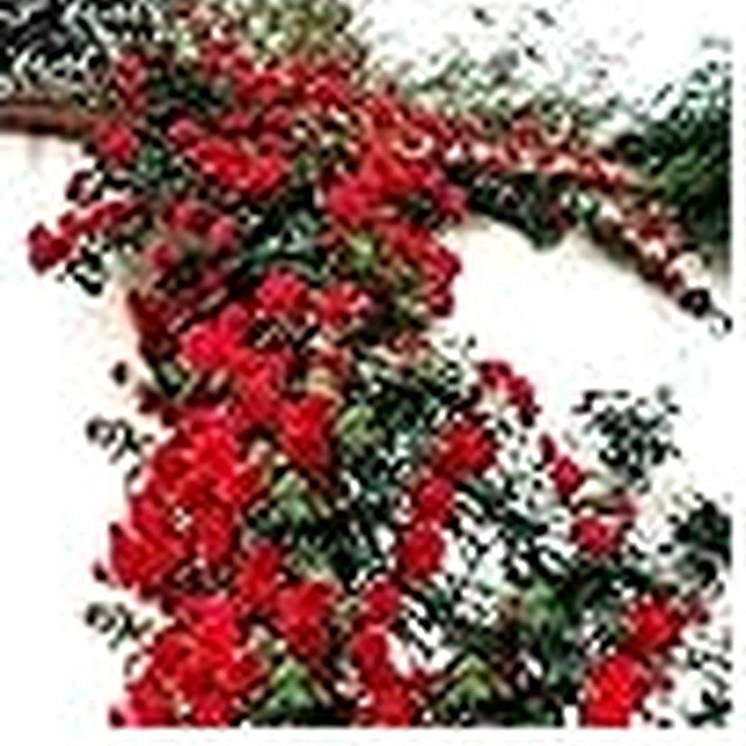 Red Climbing Rose Flower For Planting Flower Seeds for Home Garden Planting, Exotic Organic [neera-v5-1a5c3a2369fda1fe5125]