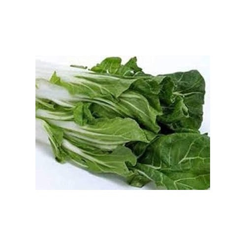 Green Swiss Chard Vegetable Seeds for Planting [neera-v5-1a60d691df9047eb1ef0]