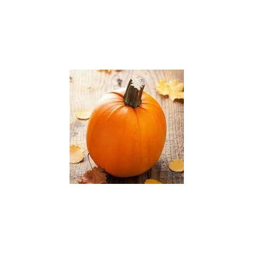 Heirloom Non-GMO Pumpkin Seeds for Vegetable Garden [neera-v5-1a827064eca804f6c657]