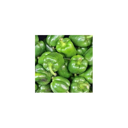 Bell Pepper California Wonder Seeds [neera-v5-1ac78bddb9b9df3d75da]