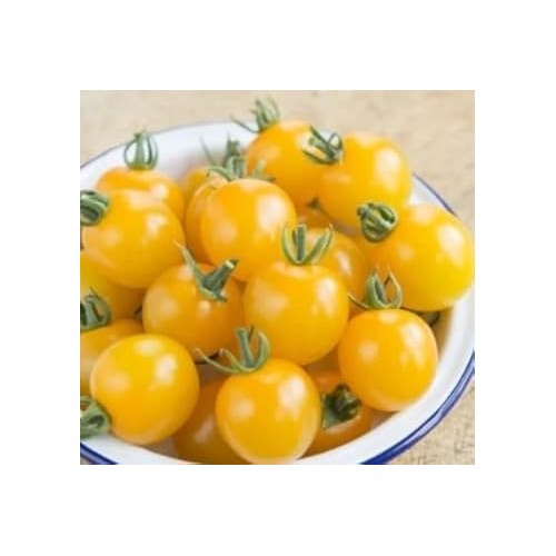 Yellow Tomato Seeds for Planting [neera-v5-1adf46fe2da61f868afc]