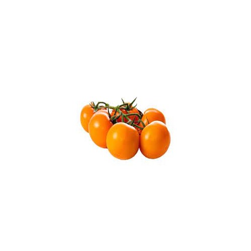 Deep Orange Tomato Seeds for Planting [neera-v5-1b37f96600a7d64e20ea]