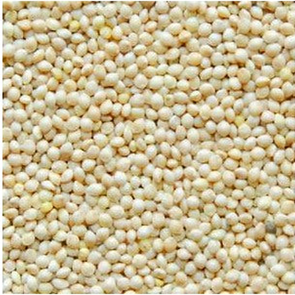 White Proso Millet Seeds for Planting [neera-v5-1b3e1de402fa13fa4fe3]