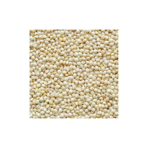 White Proso Millet Seeds for Planting [neera-v5-1b3e1de402fa13fa4fe3]