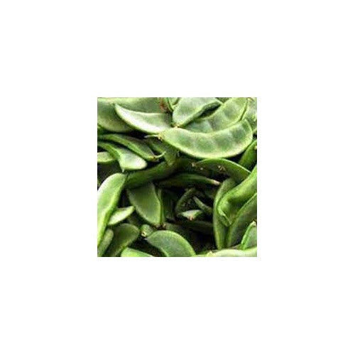 Runner Bean Seeds for Planting [neera-v5-1b8934965de4fc794e6a]