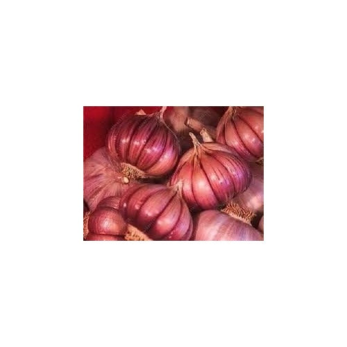 Dark Pink Garlic Herb Seeds for Planting [neera-v5-1c29da3f130a9062a4a4]