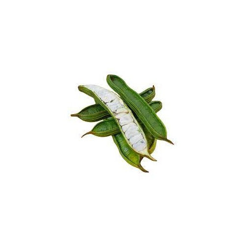 Ice Cream Bean Seeds for Planting [neera-v5-1c89d414ea5e1c527085]