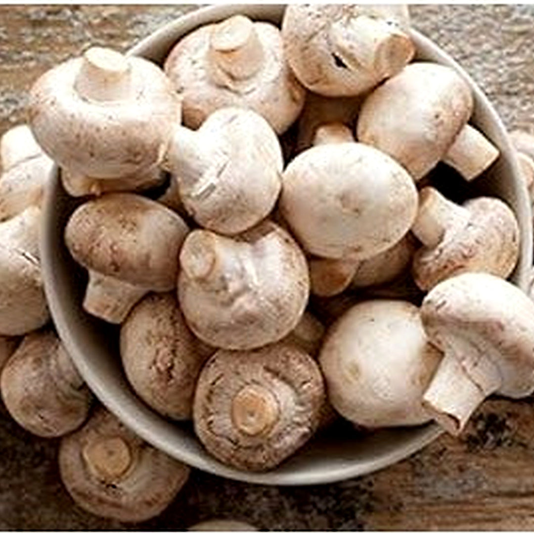 Light Brown Mushroom Seeds for Planting [neera-v5-1cb57776b3cd27becad1]