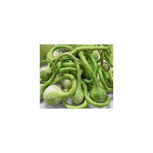 Dipper Pumpkin Vegetable Seeds for Planting [neera-v5-1d0e732949d2410f7f7d]
